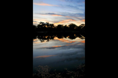 Pond Reflection at Sunset