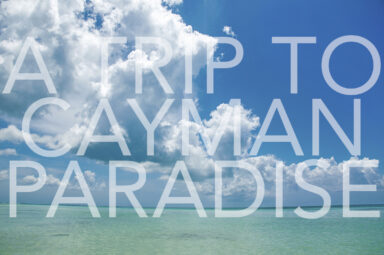 Cayman Paradise Exhibit Graphic
