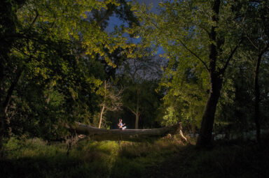 Carissa in the Woods